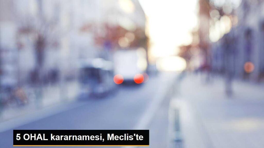 5 OHAL kararnamesi, Meclis’te