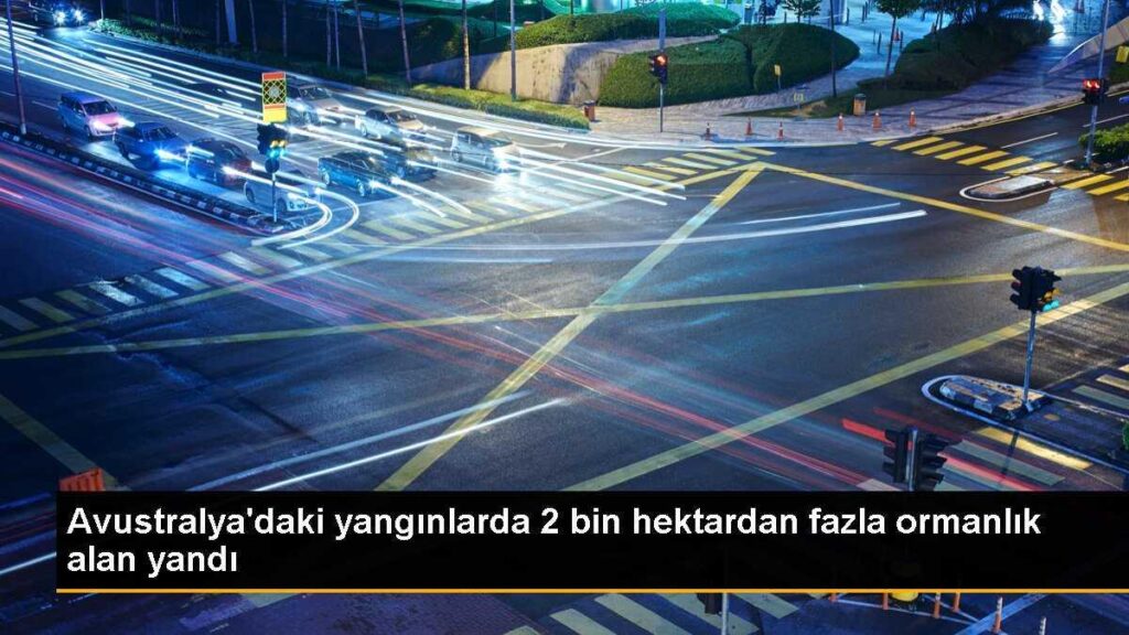 Avustralya’daki yangınlarda 2 bin hektardan fazla ormanlık alan yandı