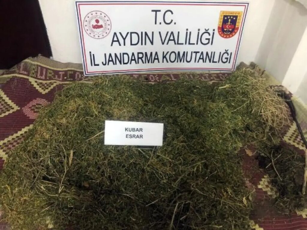 Bahçede gömülü 15 kilo esrara 1 tutuklama