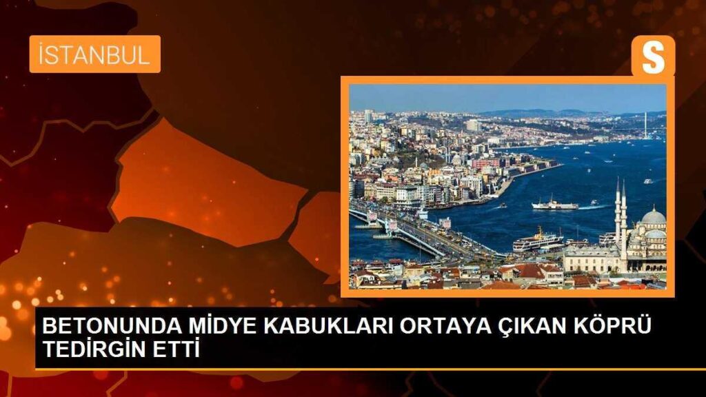 BETONUNDA MİDYE KABUKLARI ORTAYA ÇIKAN KÖPRÜ TEDİRGİN ETTİ