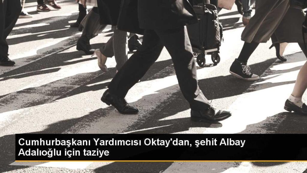 Cumhurbaşkanı Yardımcısı Oktay’dan, şehit Albay Adalıoğlu için taziye