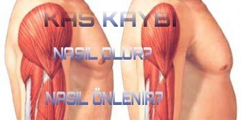 Diyette kas kaybetmek neden tehlikelidir ve nasıl önlenir?