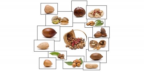 Günde yarım avuç kabuklu kuruyemiş (fındık, ceviz, badem, fıstık), kanser ve diğer nedenlere bağlı ölüm riskini azaltır!