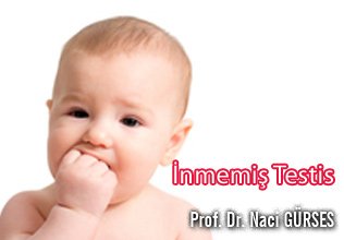İnmemiş testis