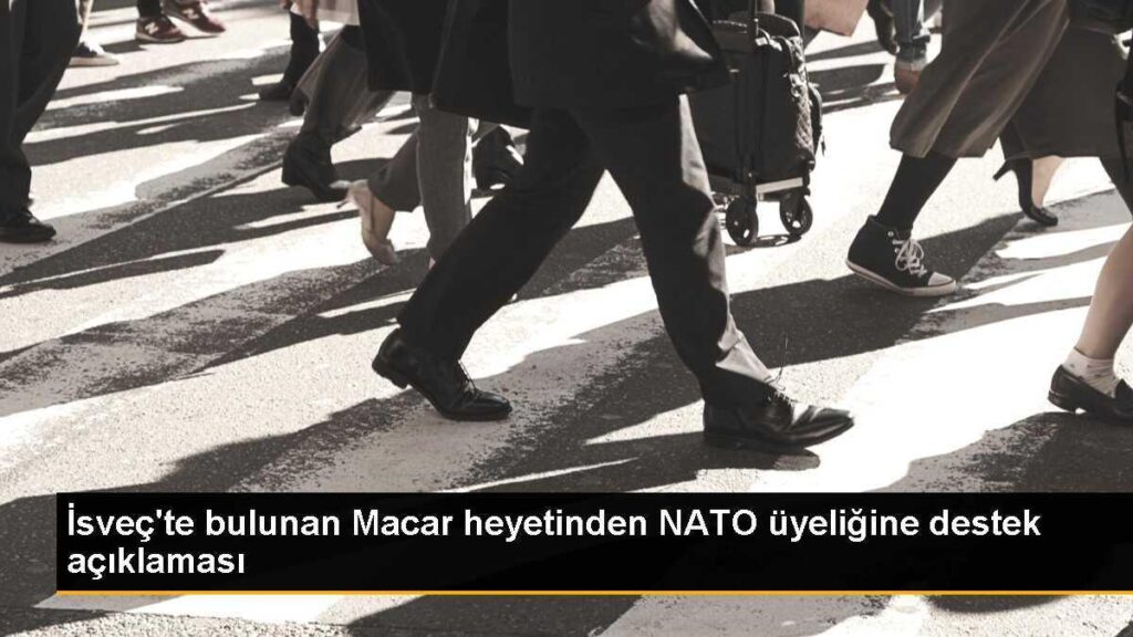 İsveç’te bulunan Macar heyetinden NATO üyeliğine destek açıklaması