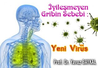 İyileşmeyen gribin sebebi ; yeni virüs