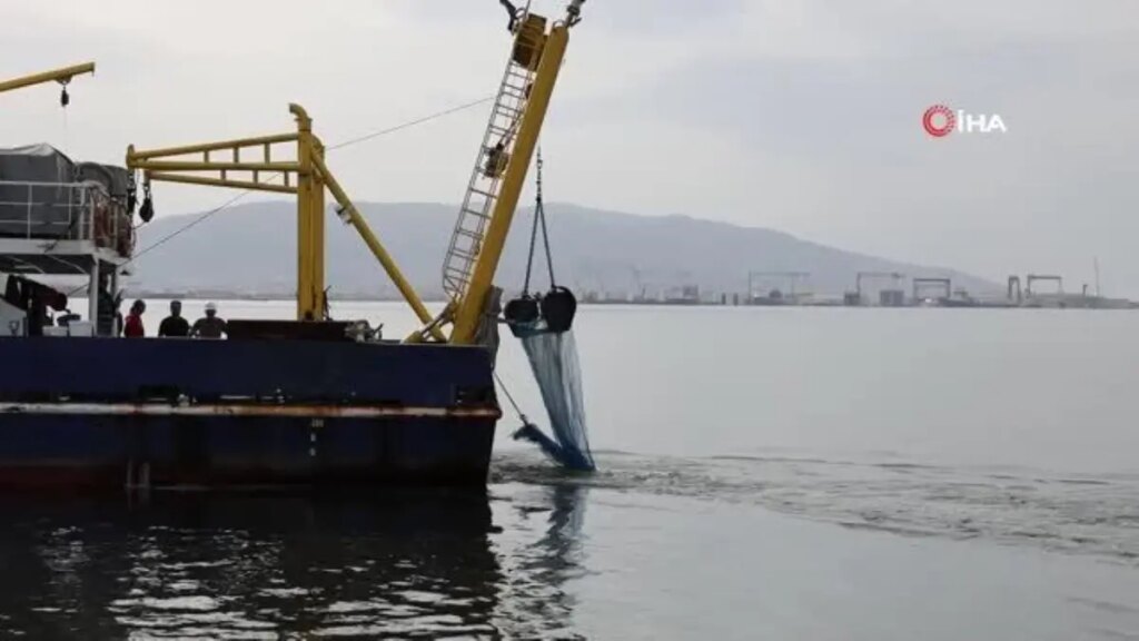 İzmit Körfezi’nde dip çamuru temizliği öncesinde biyoçeşitlilik tespiti
