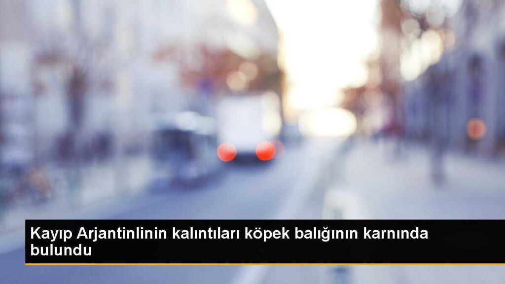 Kayıp Arjantinlinin kalıntıları köpek balığının karnında bulundu