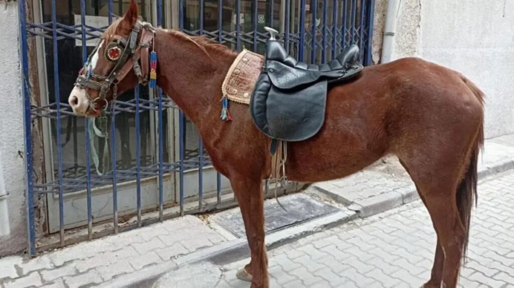 Konya’da alkollü olarak atıyla caddede dolaşan kişiye 10 bin 111 lira ceza