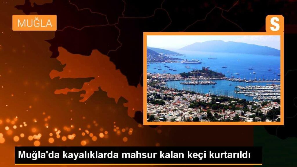 Muğla’da kayalıklarda mahsur kalan keçi kurtarıldı