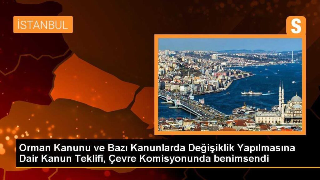 Orman Kanunu ve Bazı Kanunlarda Değişiklik Yapılmasına Dair Kanun Teklifi, Çevre Komisyonunda benimsendi