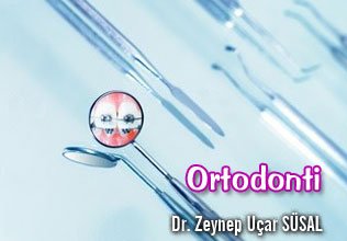 Ortodonti