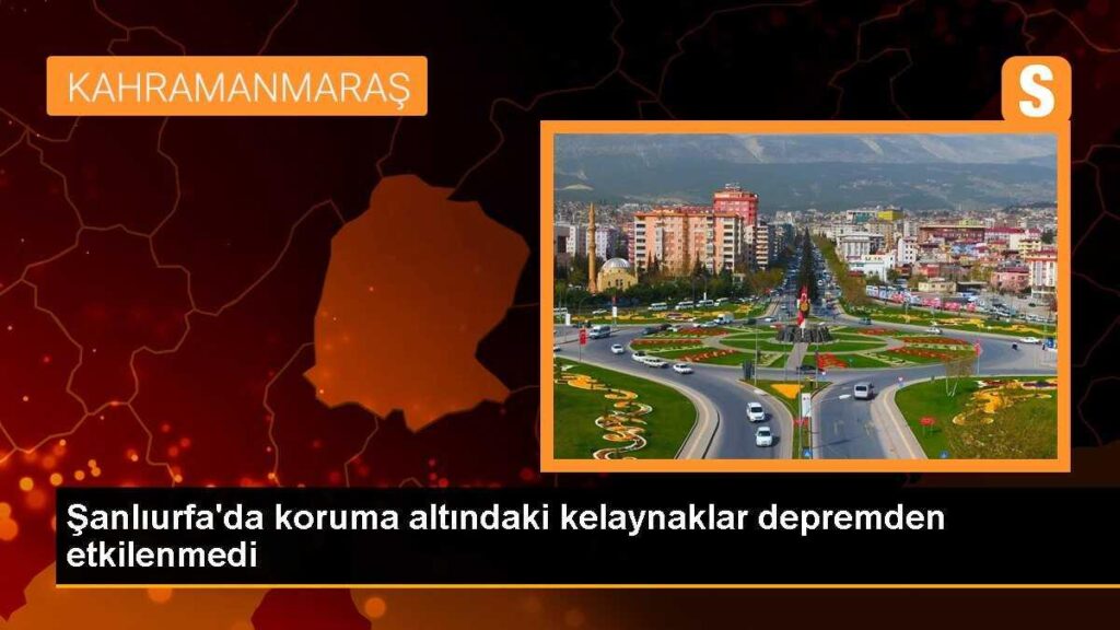 Şanlıurfa’da koruma altındaki kelaynaklar depremden etkilenmedi