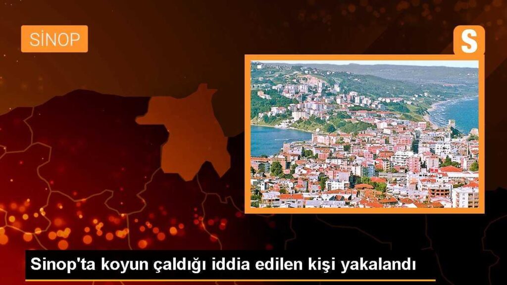 Sinop’ta koyun çaldığı iddia edilen kişi yakalandı
