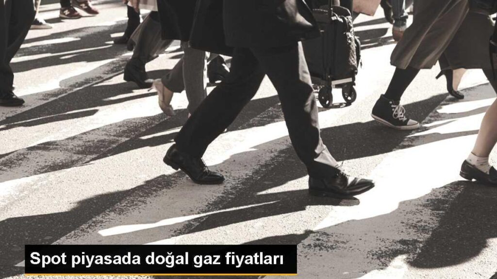Spot piyasada doğal gaz fiyatları