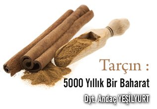 Tarçın : 5000 yıllık bir baharat