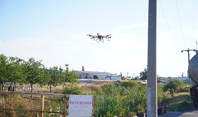 Ayvalık’ta dronların hedefinde sinekler var
