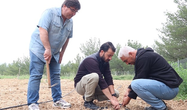 Bornova Kınalı Bamyası’na koruma kalkanı