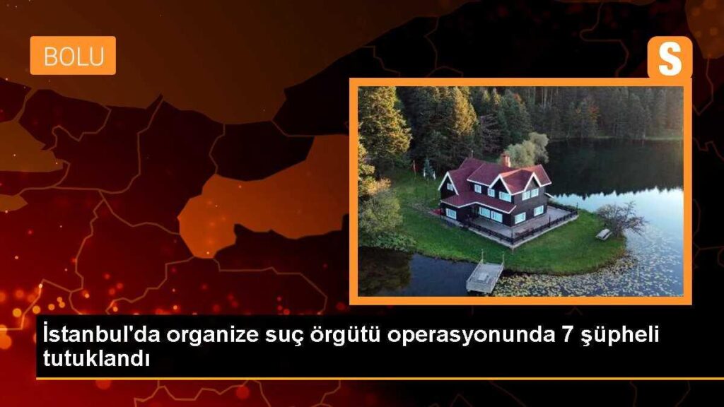 İstanbul’da organize suç örgütü operasyonunda 7 şüpheli tutuklandı